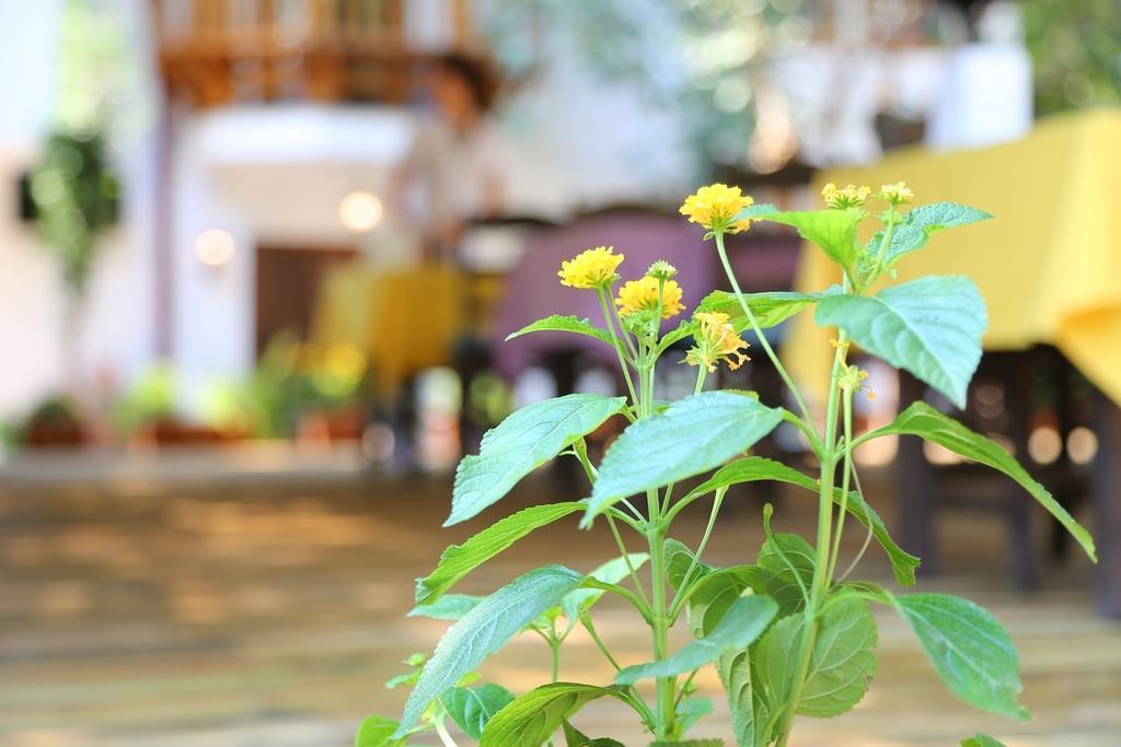 Akyaka Yali Capkini Hotel Luaran gambar